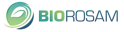 pic-biorosam-logo